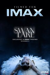 Swan Lake Poster